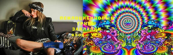 PSILOCYBIN Баксан